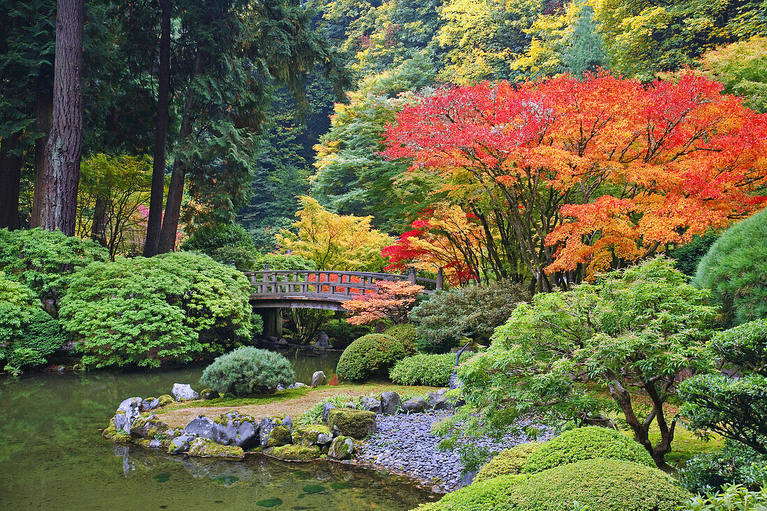 Herbstfarbenes Laub und ein Steg über einen Teich im Portland Japanese Garden,Portland,Oregon,Vereinigte Staaten von Amerika