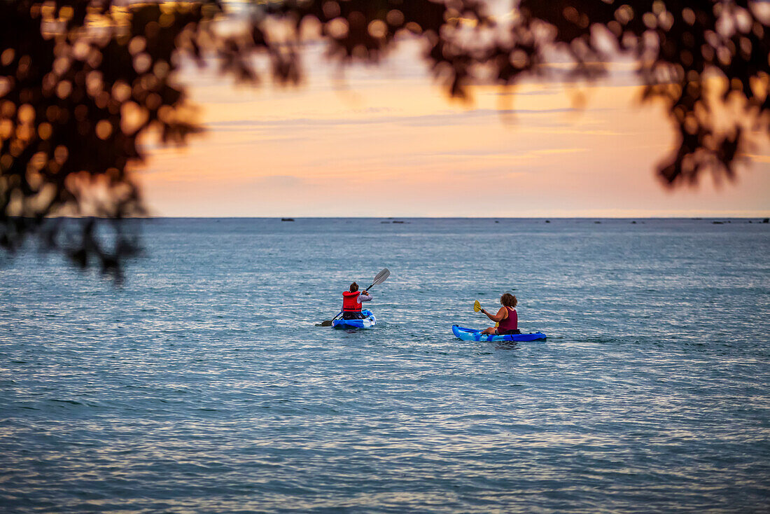 Kajakfahren auf der Bay of Plenty bei Sonnenuntergang, Te Kaha, Bay of Plenty, Neuseeland