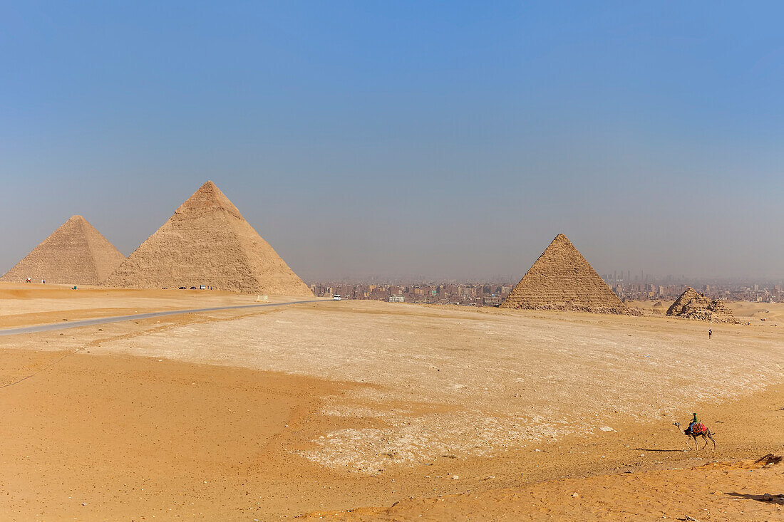 Kamelreiten auf dem Pyramidenkomplex von Gizeh mit Blick auf drei Pyramiden, Gizeh-Plateau, Altes Ägypten, Gizeh, Ägypten