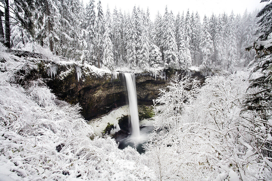 Waterfall in a snowy landscape with frosted foliage and snow-covered forest