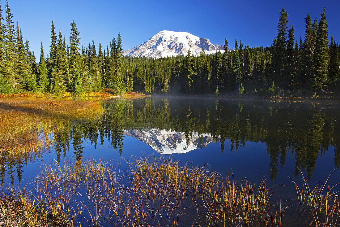 Snow-covered Mount Rainier at sunrise,with autumn coloured vegetation on the shore and mist rising up from the water of Reflection Lake,Washington,United States of America