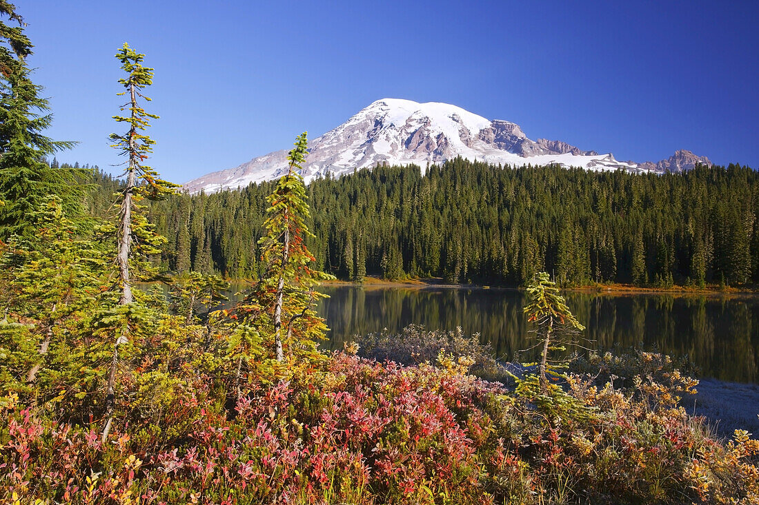 Schneebedeckter Mount Rainier, mit herbstlich gefärbter Vegetation am Ufer und Spiegelungen im Wasser des Reflection Lake, Washington, Vereinigte Staaten von Amerika