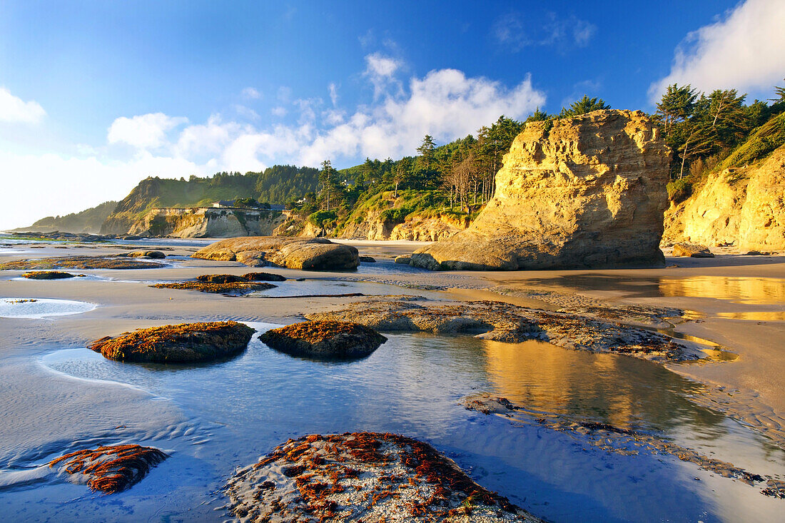 Zerklüftete Klippe und Felsen am Strand entlang der Küste von Oregon, Oregon, Vereinigte Staaten von Amerika