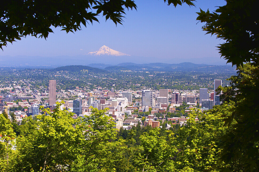 Stadtbild von Portland, Oregon, mit dem Willamette River und einem Blick auf Mount Hood und die Cascade Range in der Ferne, eingerahmt von Laub, Portland, Oregon, Vereinigte Staaten von Amerika