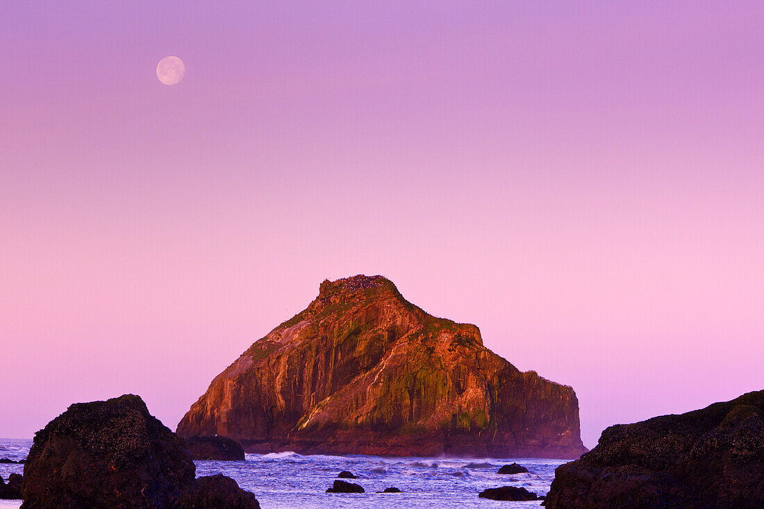 Felsformation im Wasser mit dem Vollmond am rosa leuchtenden Himmel in der Morgendämmerung in der Bandon State Natural Area an der Küste von Oregon, Bandon, Oregon, Vereinigte Staaten von Amerika