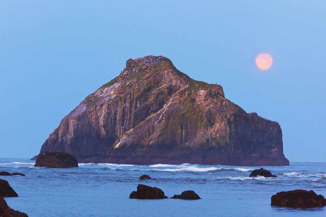 Felsformation im Wasser mit dem Vollmond am rosa leuchtenden Himmel in der Morgendämmerung von Bandon State Natural Area an der Küste von Oregon, Bandon, Oregon, Vereinigte Staaten von Amerika