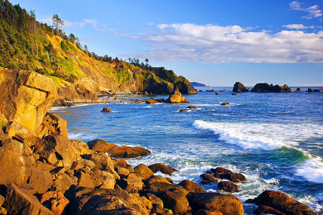 Rocks on the shore of the rugged Oregon coast with waves breaking near the shore,Oregon,United States of America