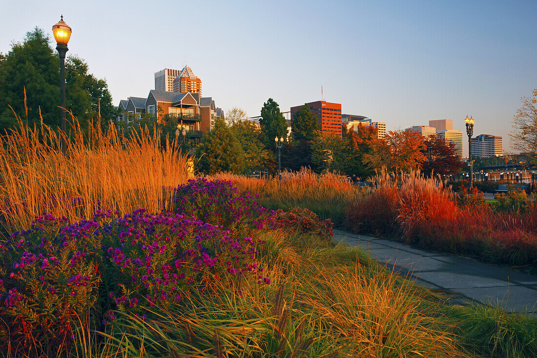 Spazierweg entlang der Uferpromenade von Portland im Herbst mit farbenprächtigem Laub und blauem Himmel, Portland, Oregon, Vereinigte Staaten von Amerika