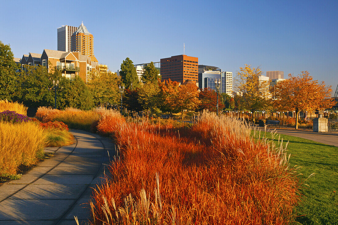 Walkway along the waterfront of Portland in autumn with vibrant coloured foliage and a blue sky,Portland,Oregon,United States of America