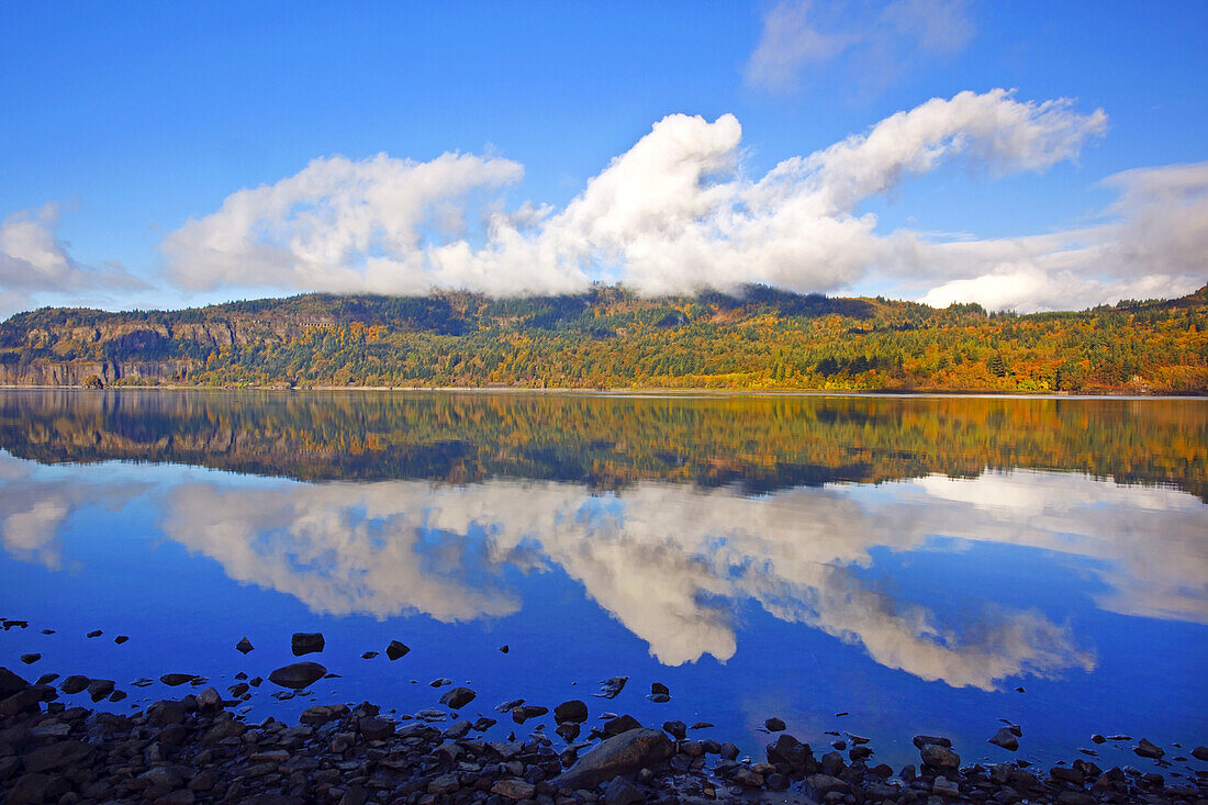 Spiegelbild von Wolken und herbstlich gefärbtem Laub entlang der Uferlinie des Columbia River, Oregon, Vereinigte Staaten von Amerika