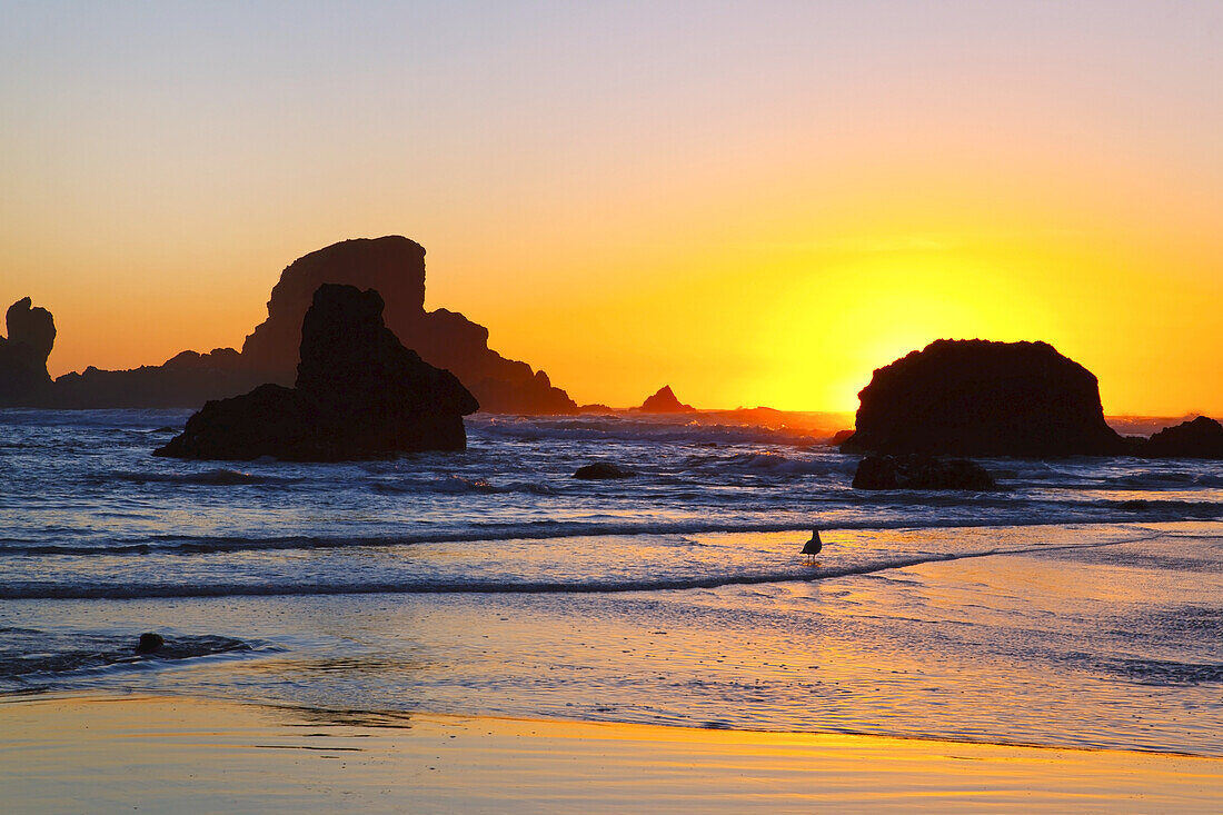 Helle untergehende Sonne, die über dem Wasser mit Felsformationen entlang der Küste von Oregon unter den Horizont sinkt,Oregon,Vereinigte Staaten von Amerika