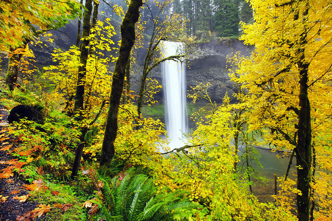 South Falls plätschert in ein Becken mit herbstlich gefärbtem Laub im Silver Falls State Park,Oregon,Vereinigte Staaten von Amerika