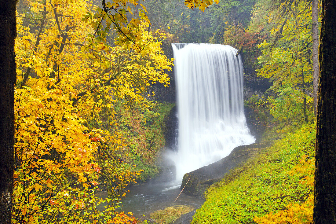 South Falls plätschert in ein Becken mit herbstlich gefärbtem Laub im Silver Falls State Park,Oregon,Vereinigte Staaten von Amerika