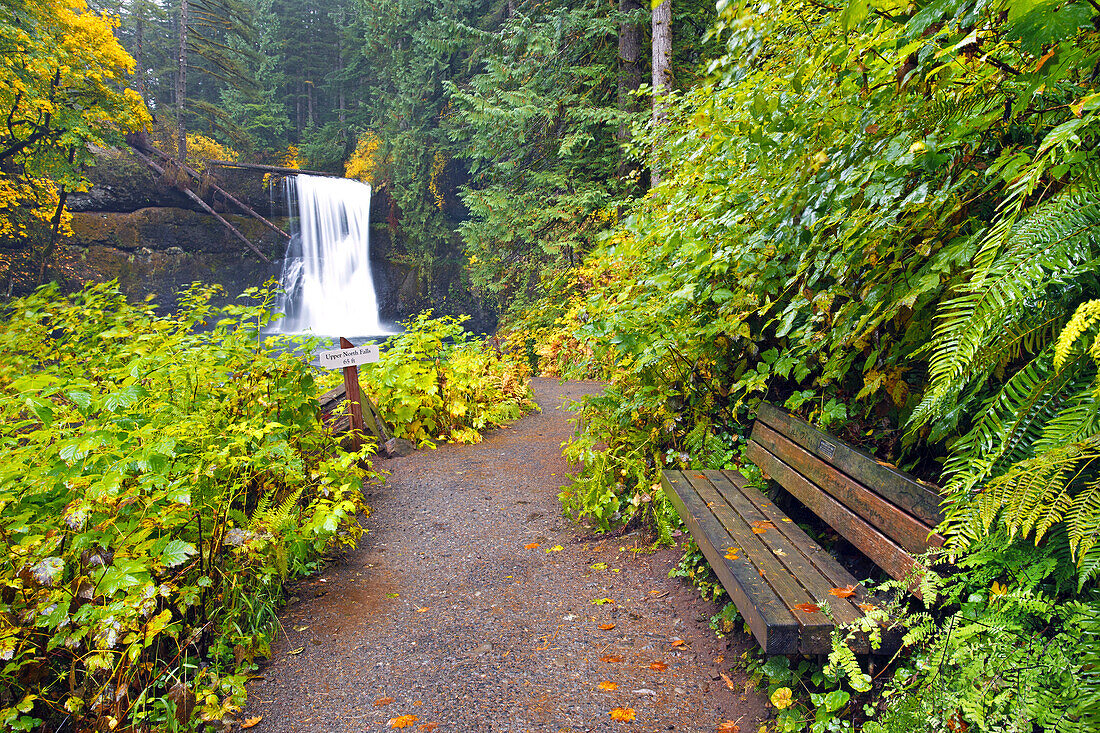 Lower South Falls splashing into a stream with autumn coloured foliage along a trail with a bench in Silver Falls State Park,Oregon,United States of America