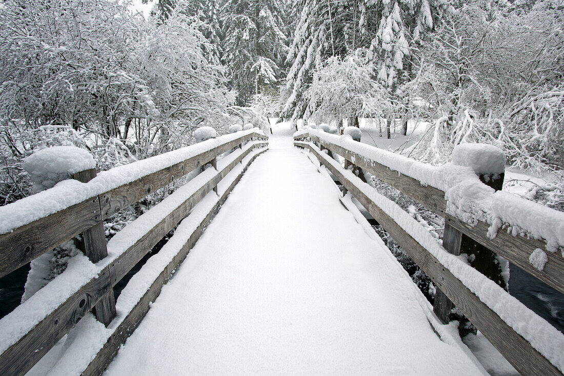 Snowy footbridge in Silver Falls State Park in winter,Oregon,United States of America