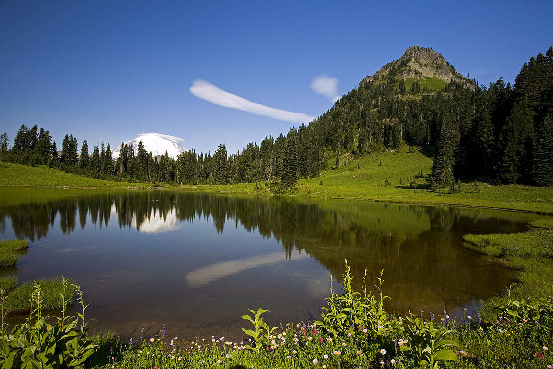 A beautiful day in Mount Rainier National Park with a tranquil lake in the foreground and snow-covered Mount Rainier in the distance,Washington,United States of America