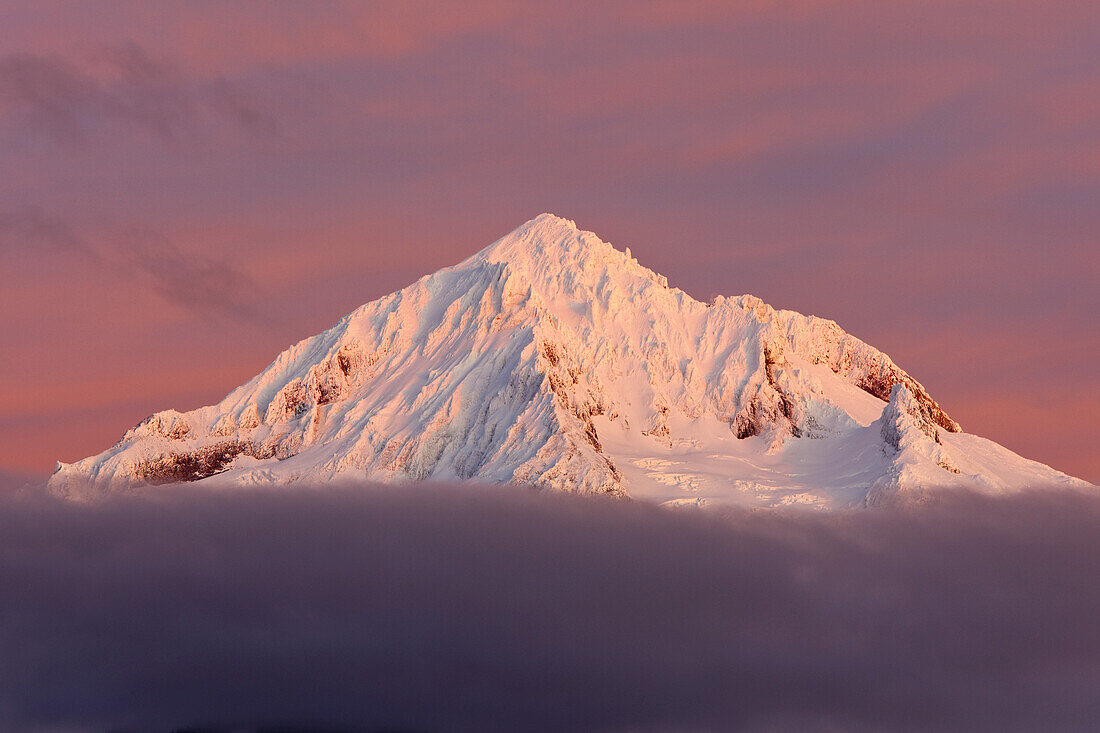 Schneebedeckter Gipfel des Mount Hood über den Wolken bei Sonnenuntergang, mit rosa leuchtenden Wolken im Hintergrund, Pazifischer Nordwesten, Oregon, Vereinigte Staaten von Amerika