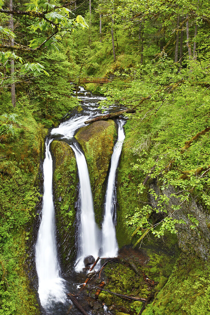 Drei Wasserfälle und ein Bach in einer bewaldeten Landschaft mit üppigem Laub und einer Fußgängerbrücke über den Bach, Columbia River Gorge, Oregon, Vereinigte Staaten von Amerika