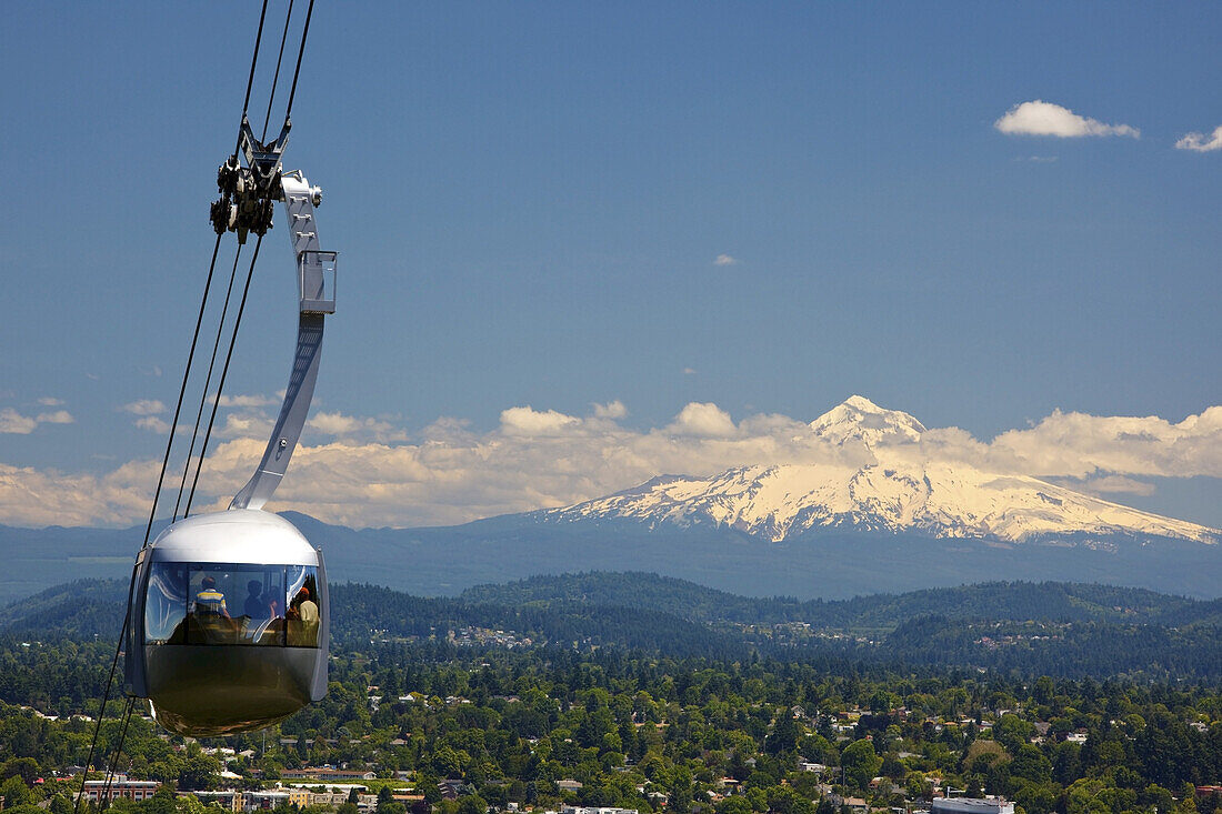 Aerial tram with a view of Mount Hood,Portland,Oregon,United States of America