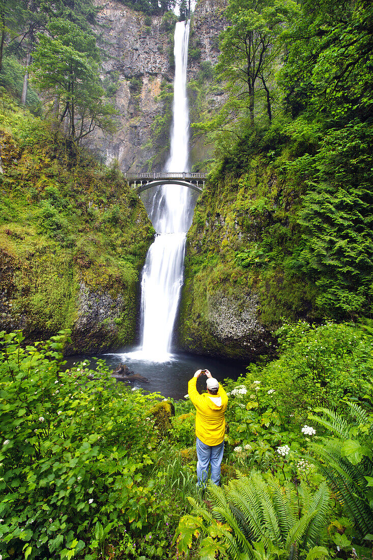 A tourist stands and takes a photograph of Multnomah Falls,a waterfall from a high cliff and a footbridge,Oregon,United States of America