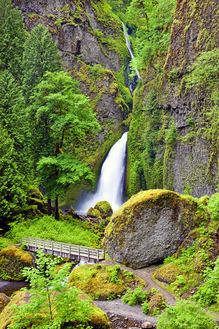 Waterfall in a lush,green landscape with moss-covered rocks and a trail with footbridge in Columbia River Gorge,Oregon,United States of America