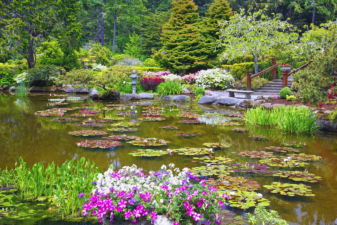 Gardens with blossoming plants and a tranquil pond in Shore Acres State Park,Oregon,United States of America