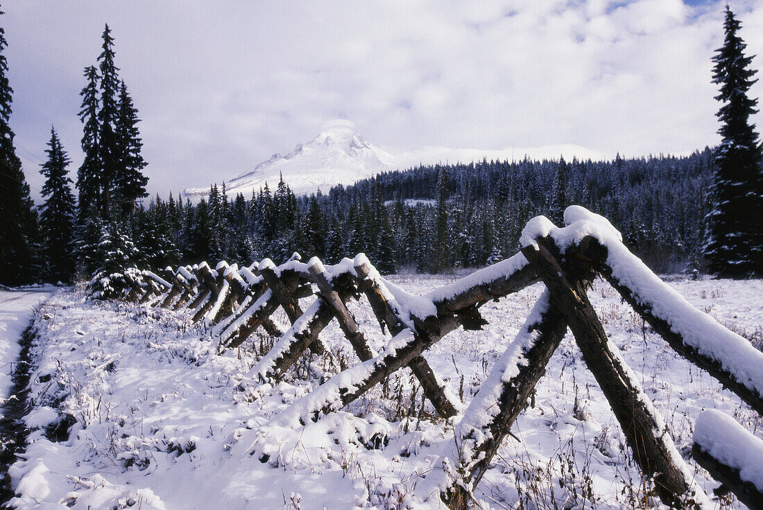 Snow-covered fence in a field with a forest and snowy Mount Hood in the background in Mount Hood National Forest,Oregon,United States of America