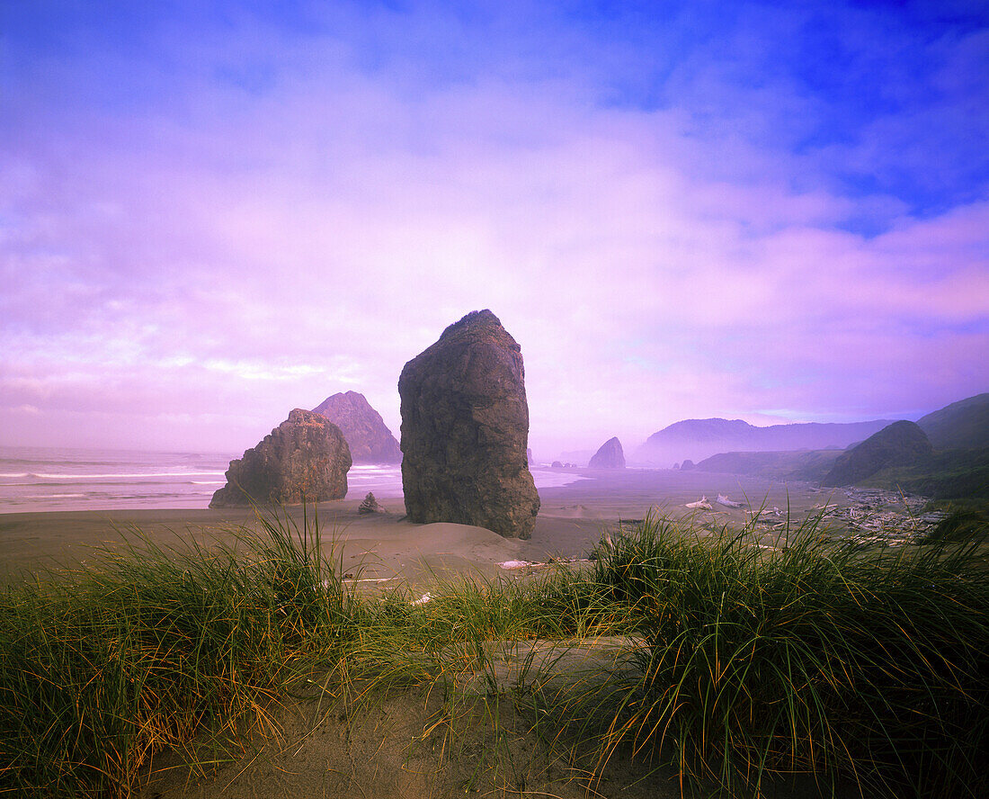 Zerklüftete Felsformationen entlang der Küste von Oregon in der Morgendämmerung am Cape Sebastian State Scenic Corridor, Oregon, Vereinigte Staaten von Amerika