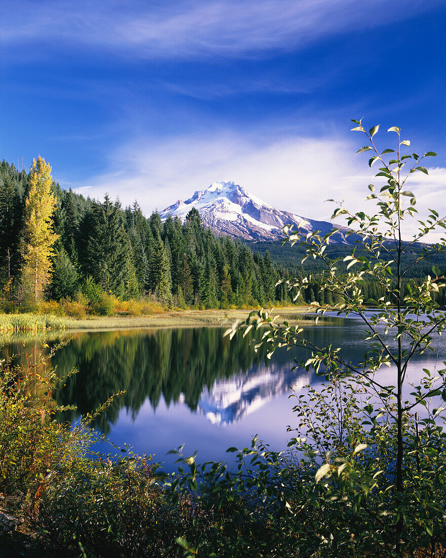 Mount Hood reflected in Trillium Lake in Mount Hood National Forest,Oregon,United States of America