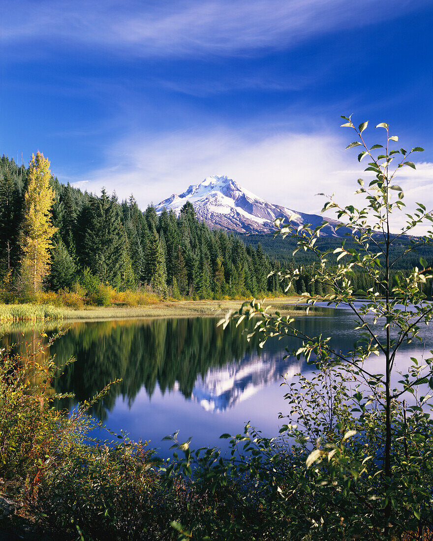 Mount Hood spiegelt sich im Trillium Lake im Mount Hood National Forest,Oregon,Vereinigte Staaten von Amerika