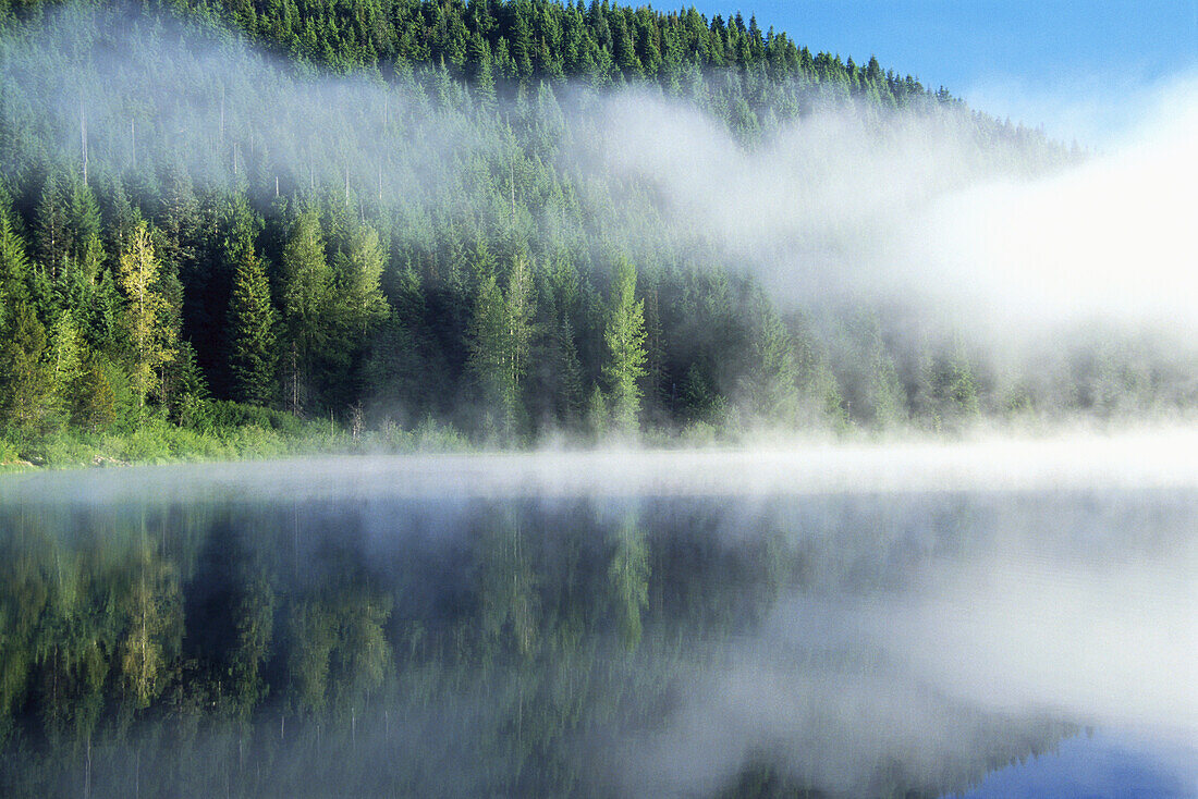 Low cloud and mist over Trillium Lake at sunrise with a dense forest reflected in the water,Mount Hood National Forest,Oregon,United States of America