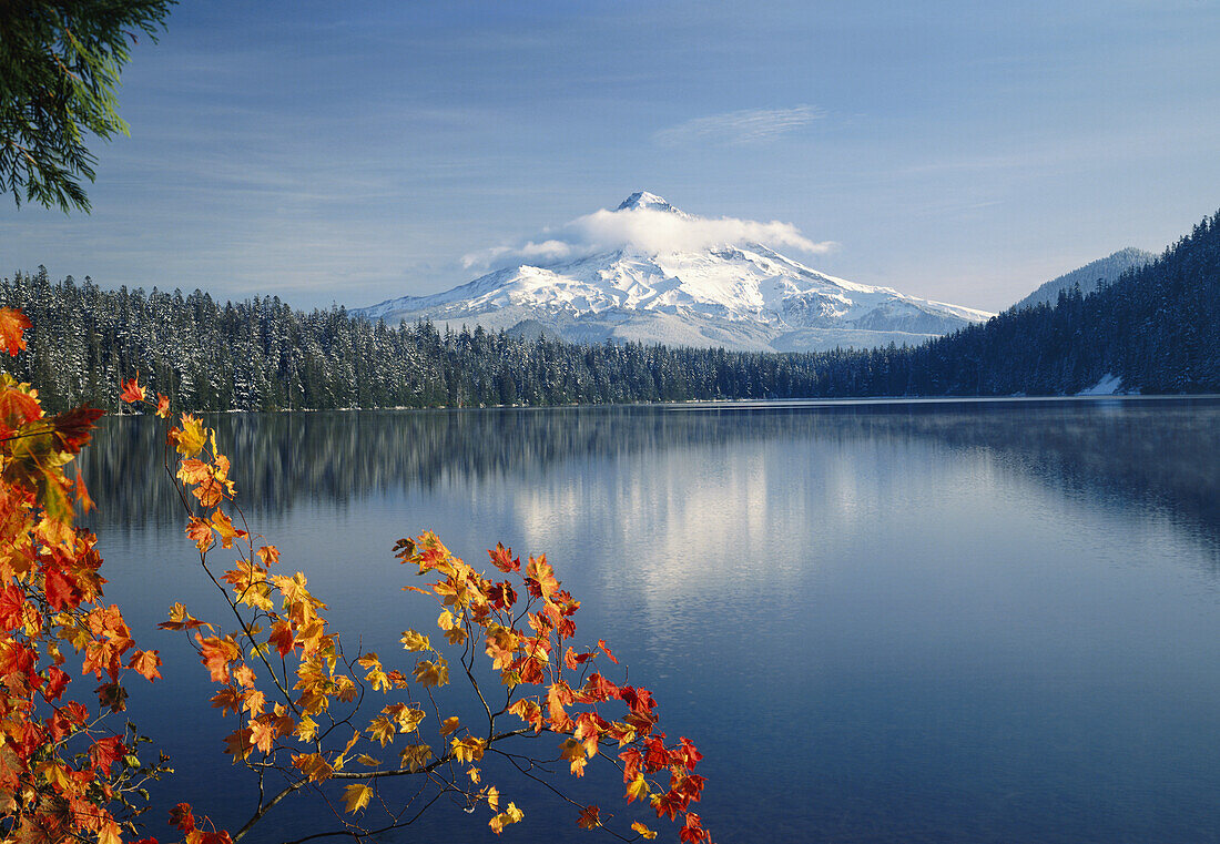 Mount Hood spiegelt sich im Lost Lake im Mount Hood National Forest, Oregon, Vereinigte Staaten von Amerika