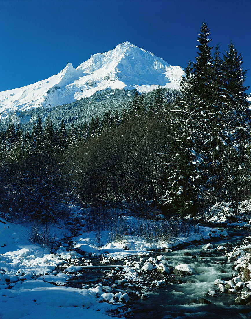 Schneebedeckter Mount Hood vor einem strahlend blauen Himmel und einem Fluss, der durch den Mount Hood National Forest fließt,Oregon,Vereinigte Staaten von Amerika