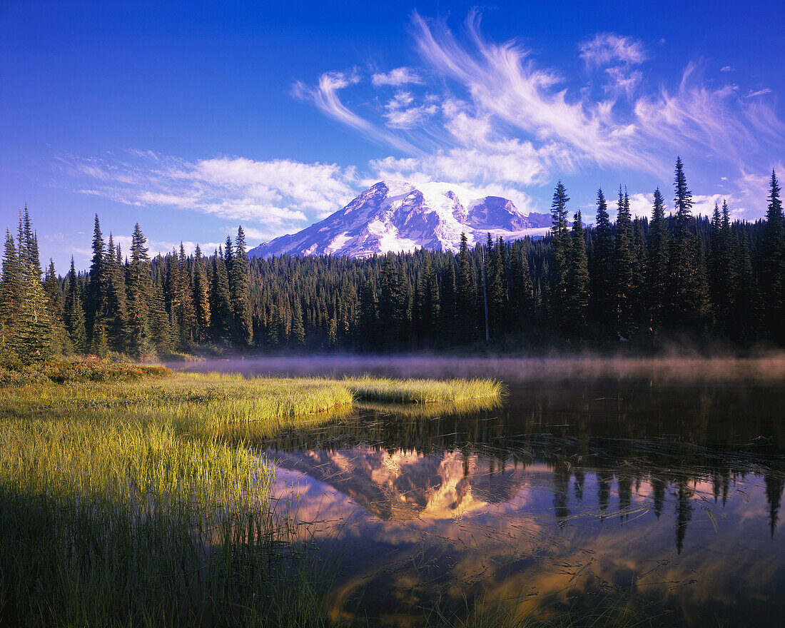 Mount Rainier und Wald spiegeln sich spiegelbildlich in einem ruhigen See im Mount Rainier National Park,Washington,Vereinigte Staaten von Amerika