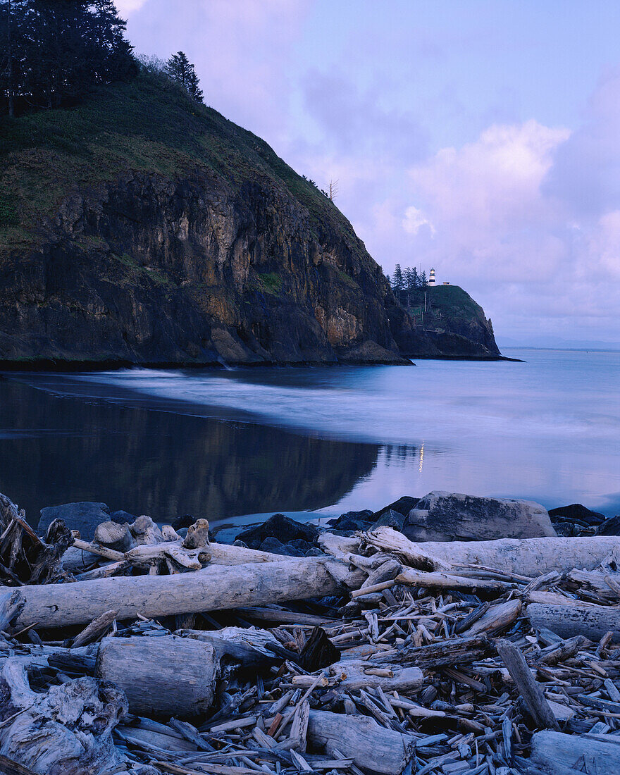 Treibholz am Strand und ein Blick auf den Cape Disappointment Lighthouse an der Küste im Cape Disappointment State Park,Washington,Vereinigte Staaten von Amerika