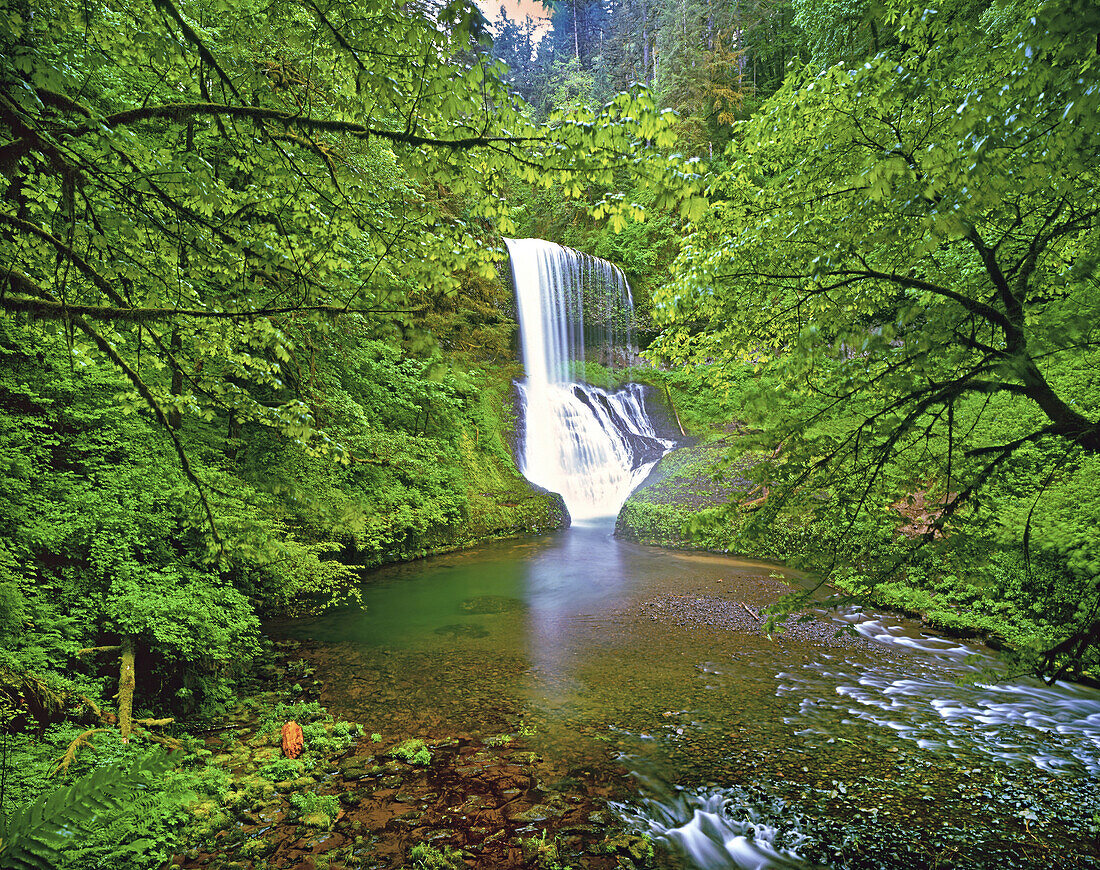 Wasserfall und üppiges Blattwerk im Pazifischen Nordwesten, Oregon, Vereinigte Staaten von Amerika