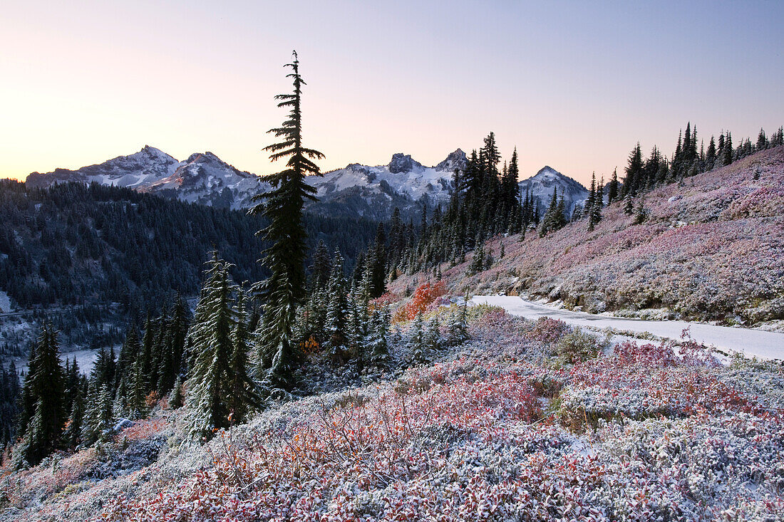 Trail through the Cascade Mountains in autumn in Mount Rainier National Park,Washington,United States of America