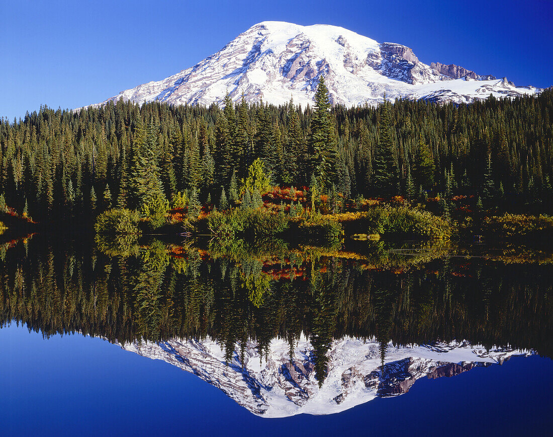 Mount Rainier reflected in a lake in Paradise Park in autumn,Mount Rainier National Park,Washington,United States of America