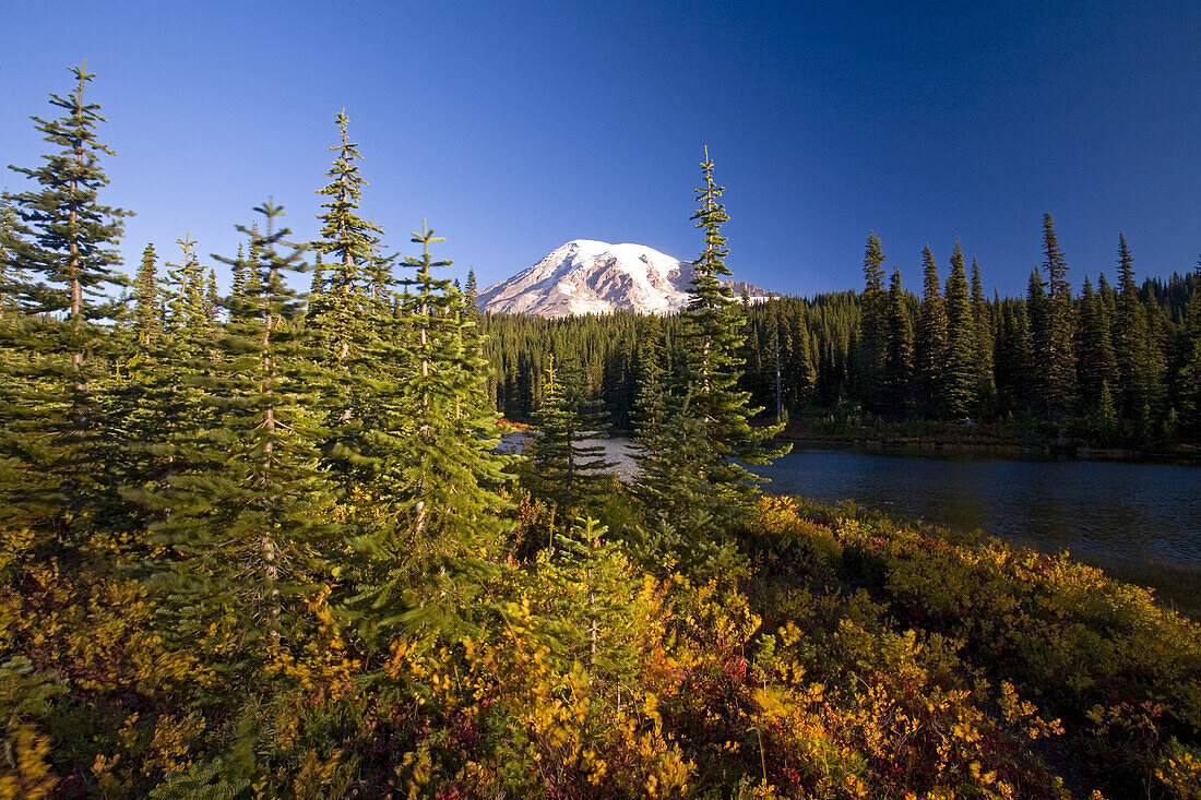 Mount Rainier mit Herbstfarben auf der Wiese, im Wald und am See im Mount Rainier National Park, Washington, Vereinigte Staaten von Amerika