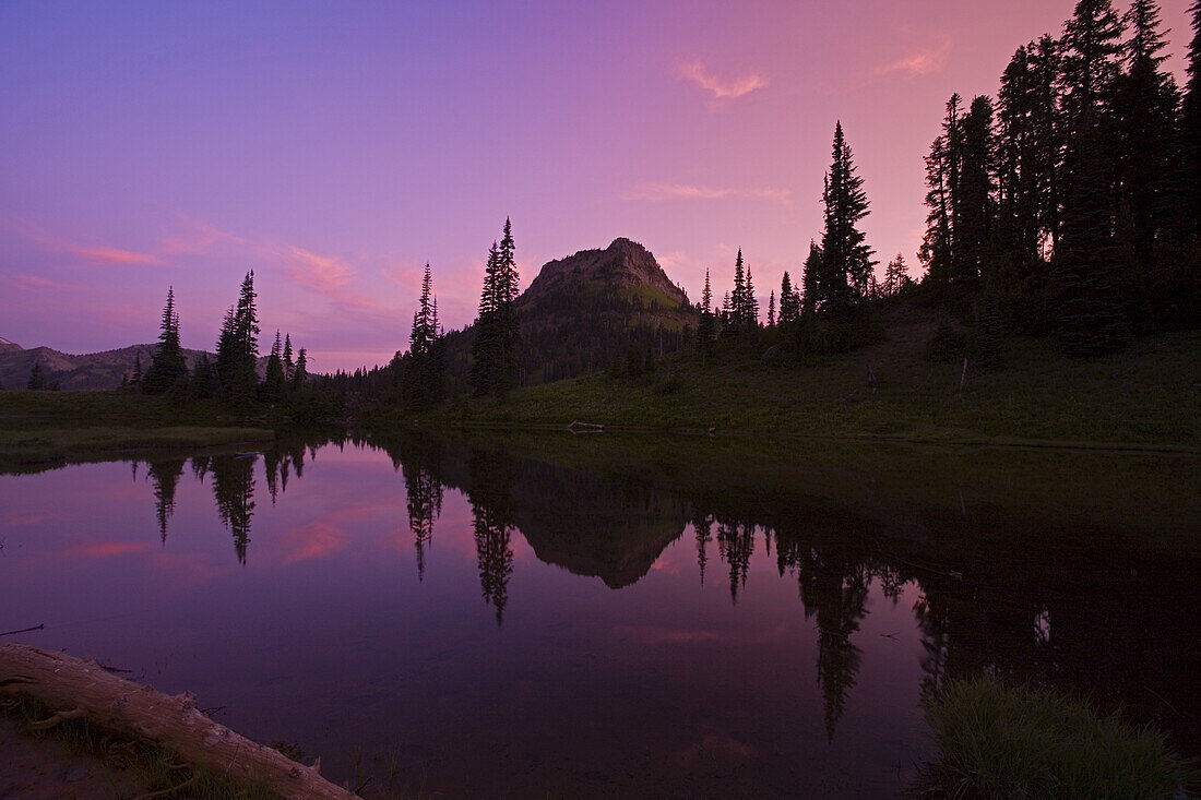 Mirror image of Mount Rainier and forest reflected in Reflection Lake at sunrise,Mount Rainier National Park,Washington,United States of America