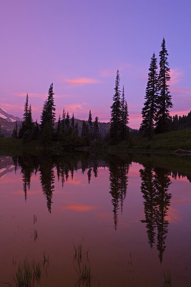 Mirror image of Mount Rainier and forest reflected in Tipsoo Lake at sunrise,Mount Rainier National Park,Washington,United States of America