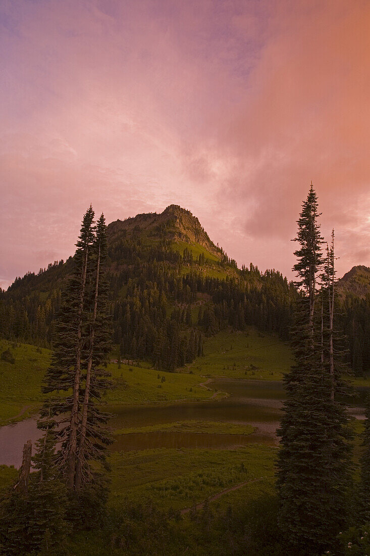 Sunrise beauty in Mount Rainier National Park with a glowing pink sky and a forested mountain peak,Washington,United States of America