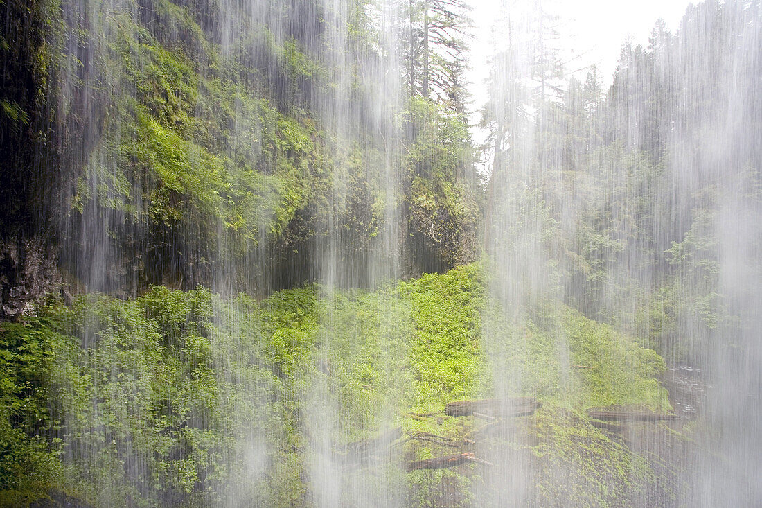 Bewegungsunschärfe eines herabstürzenden Wasserfalls in einem üppigen grünen Wald, North Falls, Silver Falls State Park, Oregon, Vereinigte Staaten von Amerika