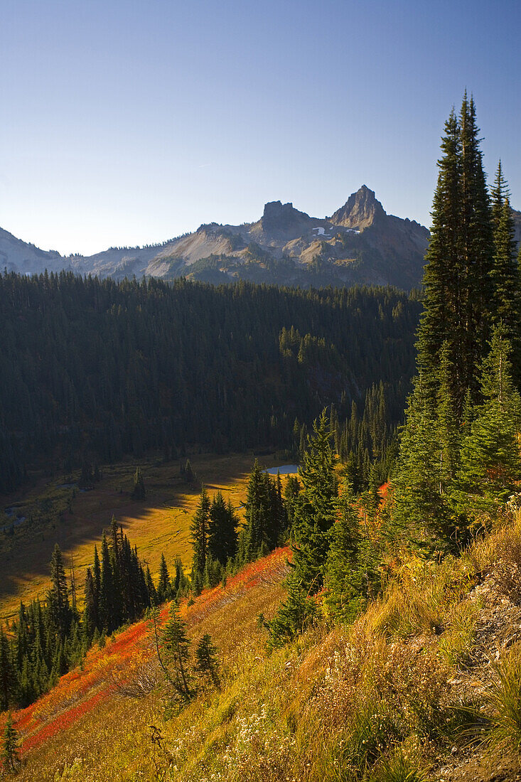 Kräftige Herbstfarben an einem Berghang mit einem Wald und schroffen Gipfeln der Cascade Range im Mount Rainier National Park,Washington,Vereinigte Staaten von Amerika