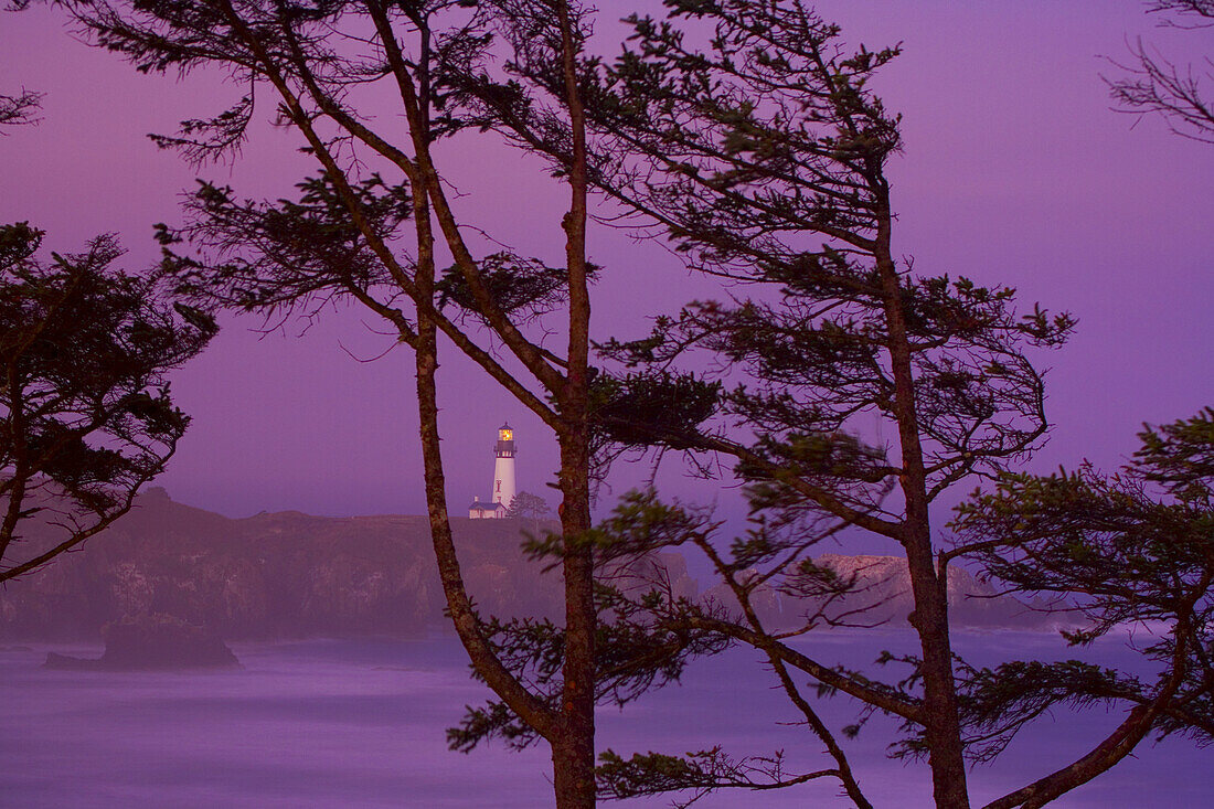Yaquina Head Light in einer dramatischen violetten Dämmerung, eingerahmt von Bäumen im Vordergrund, Oregon Küste, Oregon, Vereinigte Staaten von Amerika