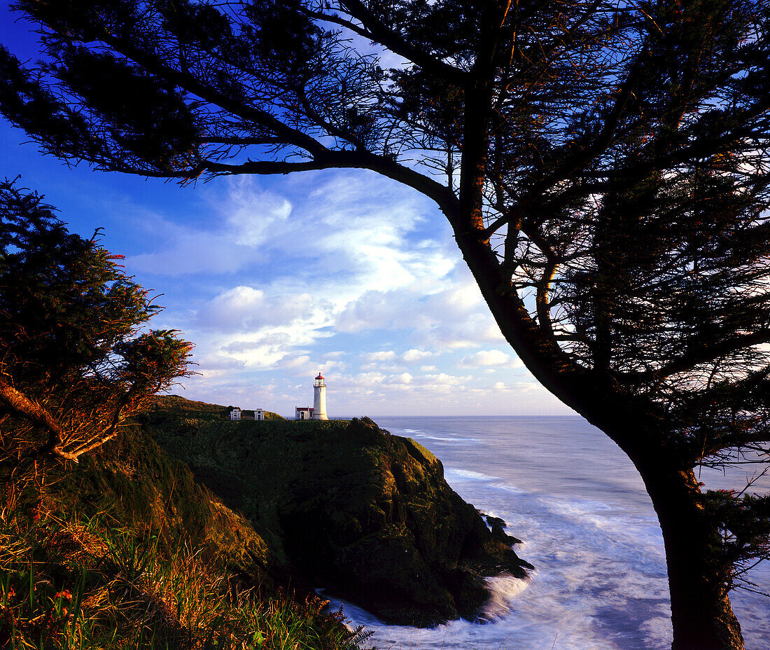 North Head Light framed by a tree in the foreground,a lighthouse on North Head along the Washington coast in Cape Disappointment State Park,Washington,United States of America