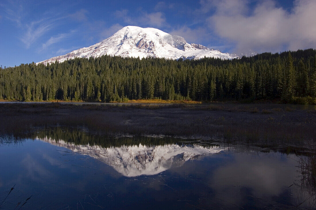 Mount Rainier und Wald spiegeln sich in einem ruhigen See im Mount Rainier National Park, Washington, Vereinigte Staaten von Amerika