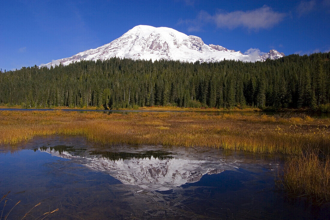 Mount Rainier und Wald spiegeln sich in einem ruhigen See im Mount Rainier National Park,Washington,Vereinigte Staaten von Amerika