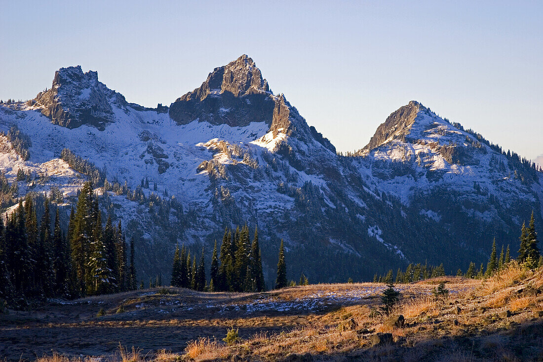 Rugged peaks of the Tatoosh Range with traces of snow against a blue sky,Mount Rainier National Park,Washington,United States of America