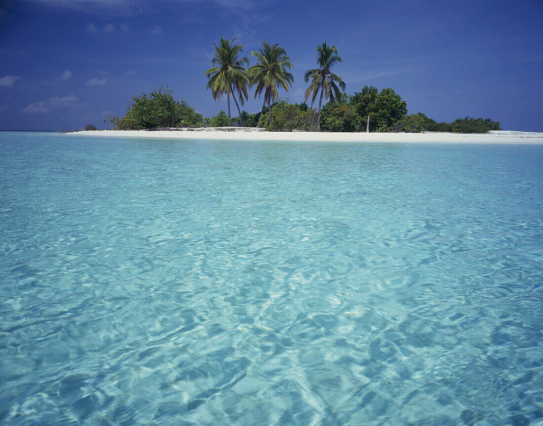 Palm trees line the white sand beach of an island with clear turquoise water and bright blue sky,Cook Islands